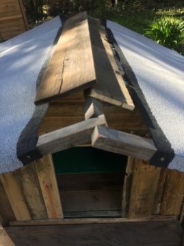 Dachüberhang mit Dachpappe